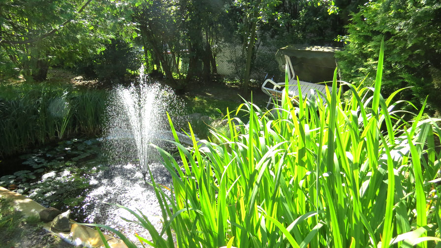 Therapeutische Wohngemeinschaften: Garten Treskowstraße mit Teich und Springbrunnen