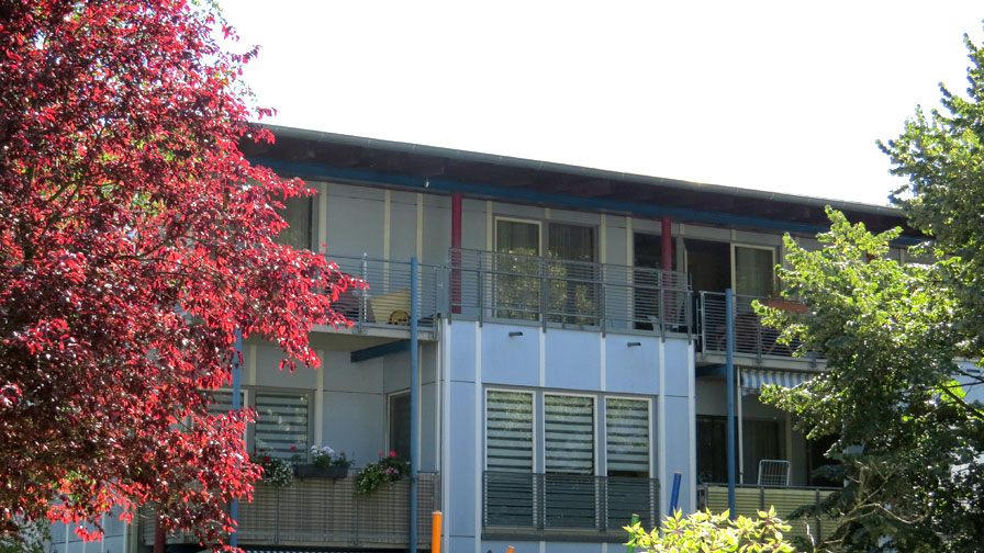 TWG Waldowpark von außen. Wohnhaus mit flachem Dach und hellblauer Fassade. Davor ein roter Baum