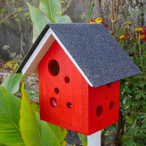 Marienkäferkiste aus dem Nadelholz. ein rotes Vogelhäuschen mit vielen kleinen Löchern